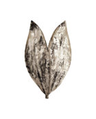 villaverde-london-orchid-metal-wall-light-2