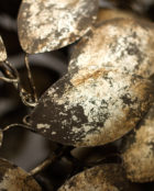 WILLOW_CHANDELIER_02