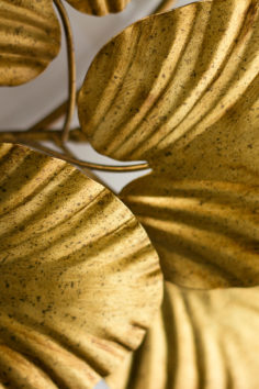 villaverde_london_lily_contemp_large_01