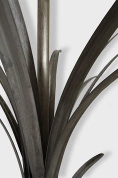 AGAVE_TL_DET2