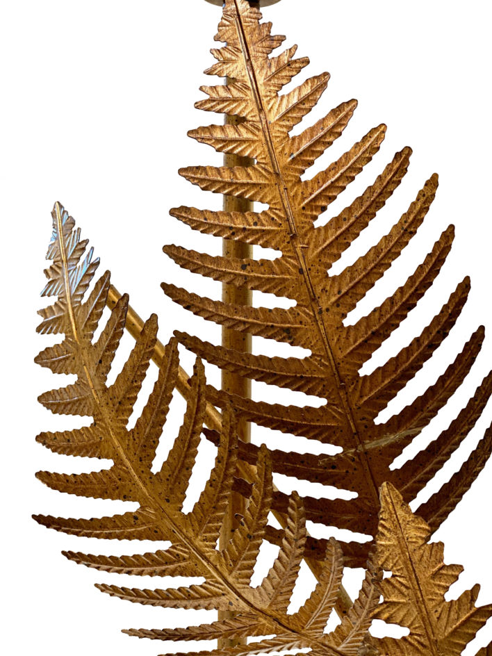 FERN-DETAIL1 copy