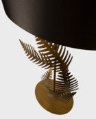 FERN_DET2